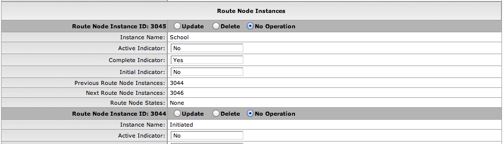 Route Node Instances