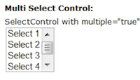 Multi Select Control